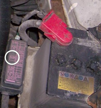 18.fusible.jpg